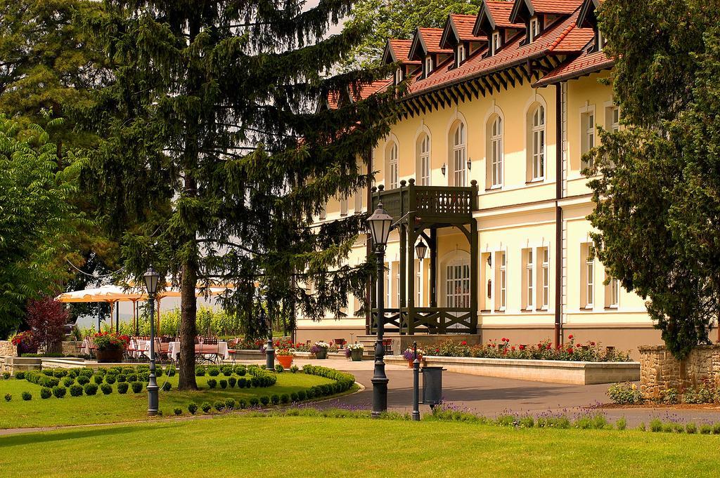 Castle Hotel Grof Degenfeld Superior Tarcal Ngoại thất bức ảnh